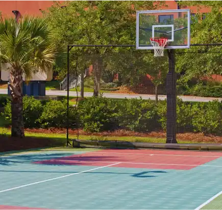 Basket Sahası